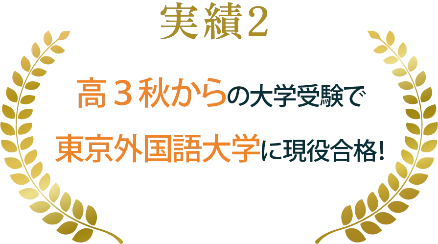 実績2 高3秋からの大学受験で東京外国語大学に現役合格!